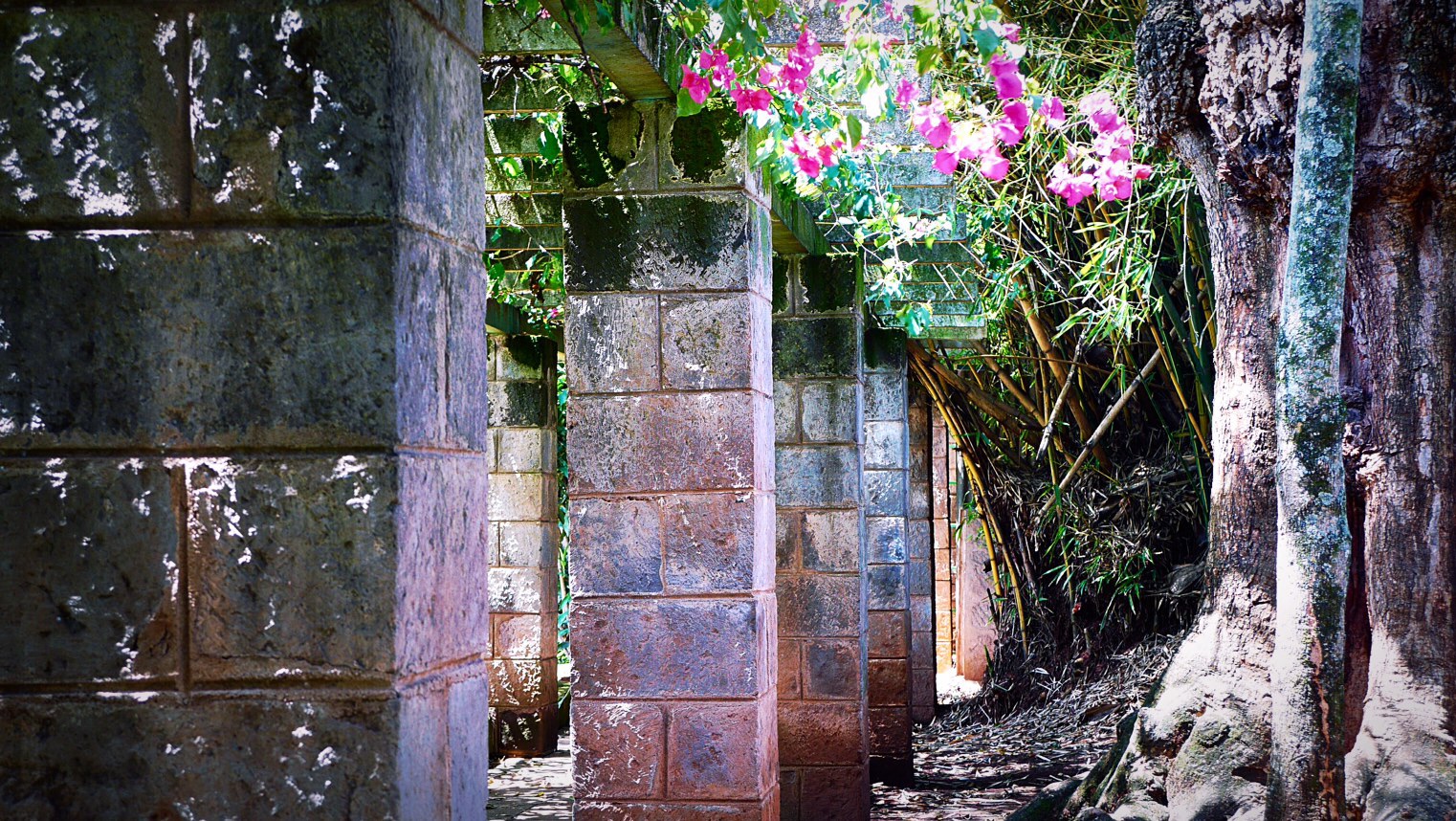 Karen Blixen House Museum Garden